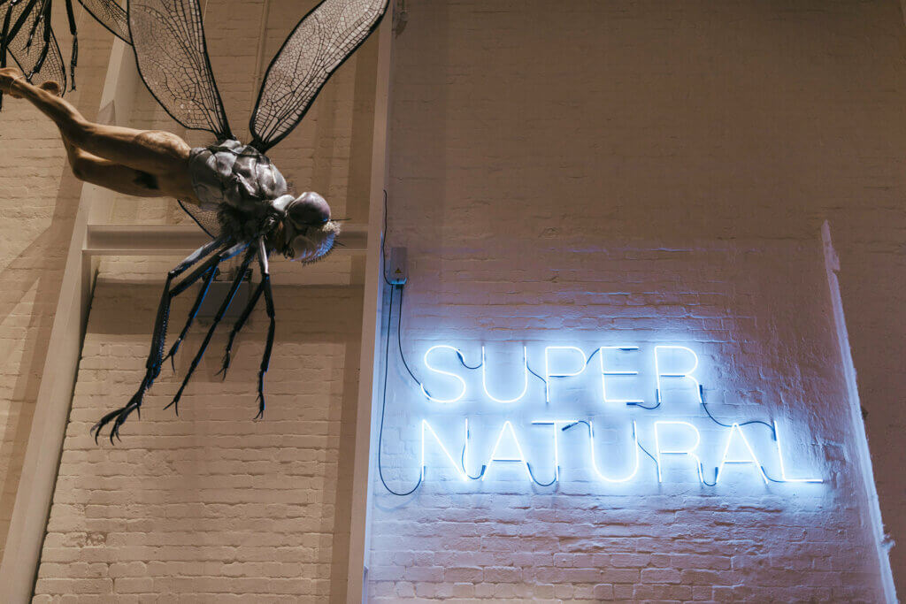 Supernatural Rabbit Virtual Tours — White Rabbit Gallery