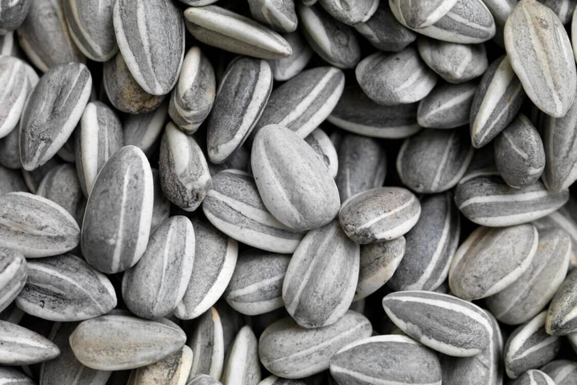 Ai Weiwei, Sunflower seeds, White Rabbit Gallery - The Hooligan exhibition