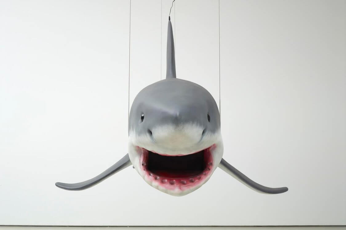 White Shark; 2015.073