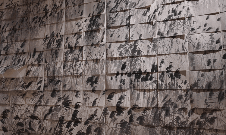 White Rabbit Gallery. Tender Comrade exhibition. Artis: FANG DAQI. Artwork: The Marshes