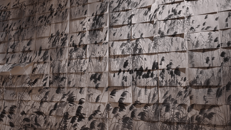 White Rabbit Gallery. Tender Comrade exhibition. Artis: FANG DAQI. Artwork: The Marshes