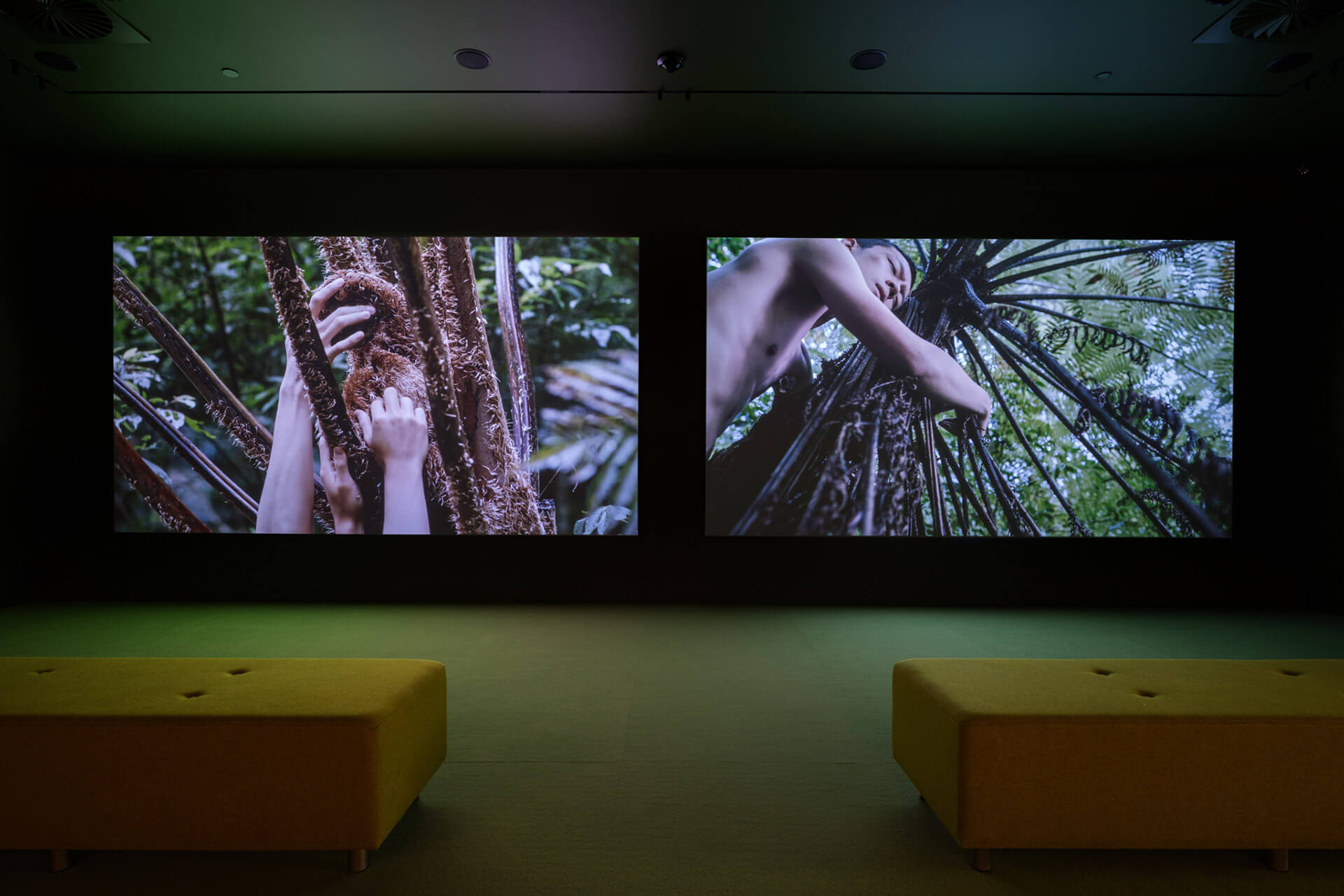 Dual channel video installation by Zheng Bo showing "Pteridophilia" with forest imagery and human figures on two screens in Tender Comrade exhibition