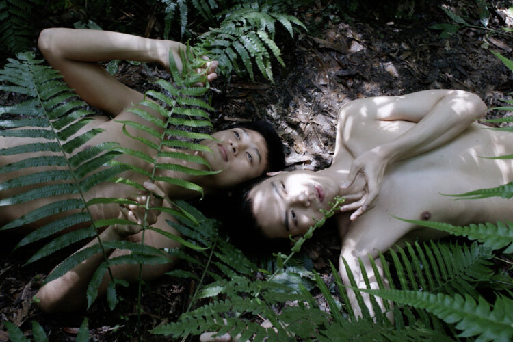White Rabbit Gallery, Tender Comrade exhibition. Artist: Zheng Bo. Artwork: Pteridophilia 4