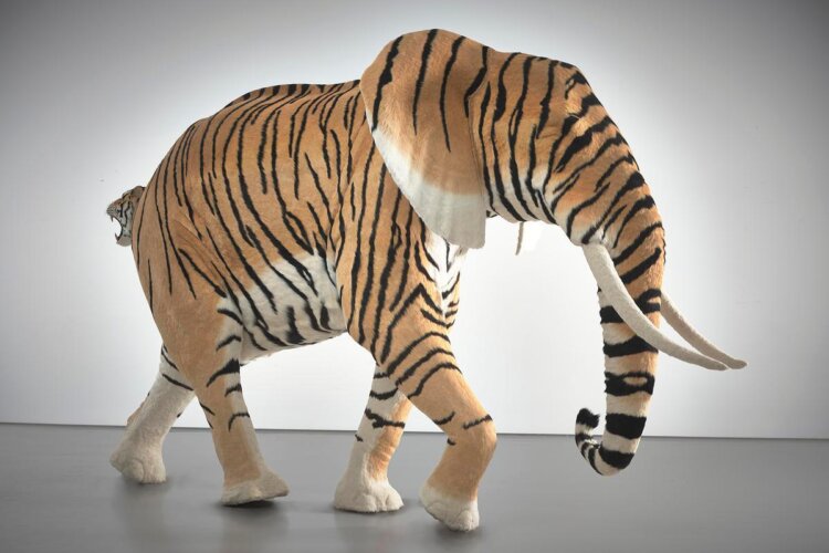 Tian longyu, A… O!, White Rabbit Gallery - The Hooligan exhibition