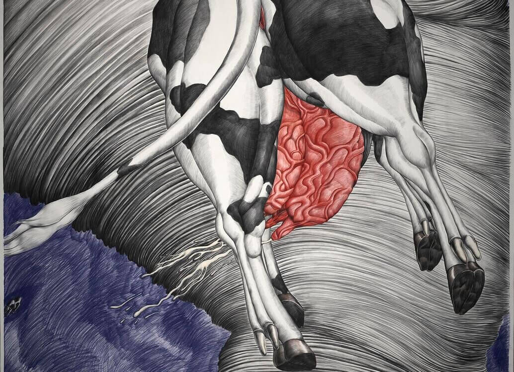 Chen Sixin, Tornado, White Rabbit Gallery - The Hooligan exhibition