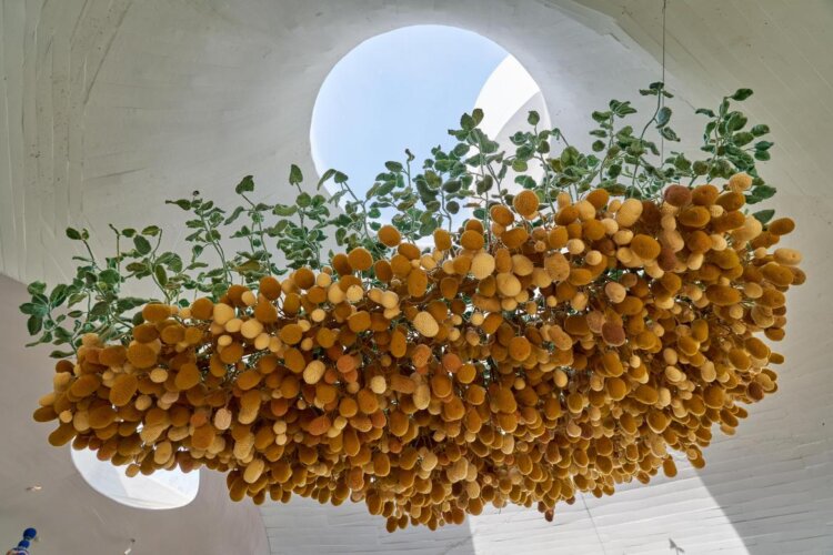 Hu Yinping, Potatoes, Potatoes, White Rabbit Gallery - The Hooligan exhibition