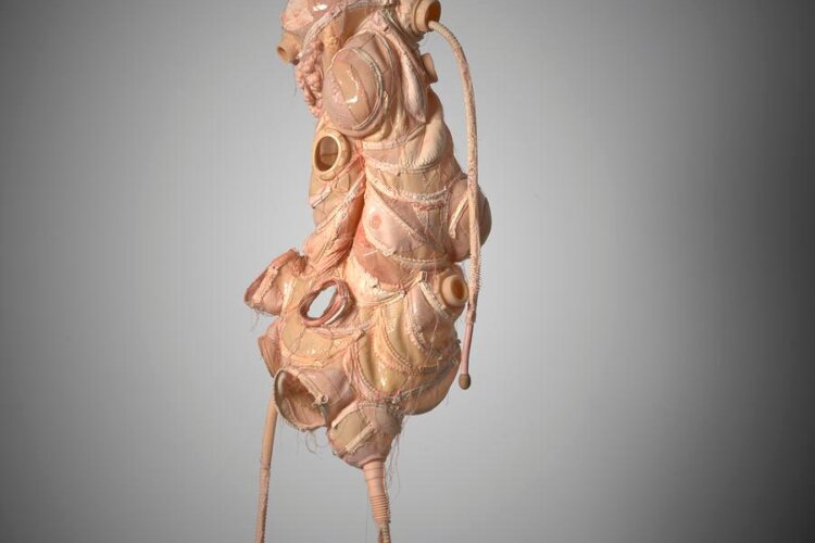 Wang Yuyu, Patching Practice: Trifoliate Orange , White Rabbit Gallery - The Hooligan exhibition