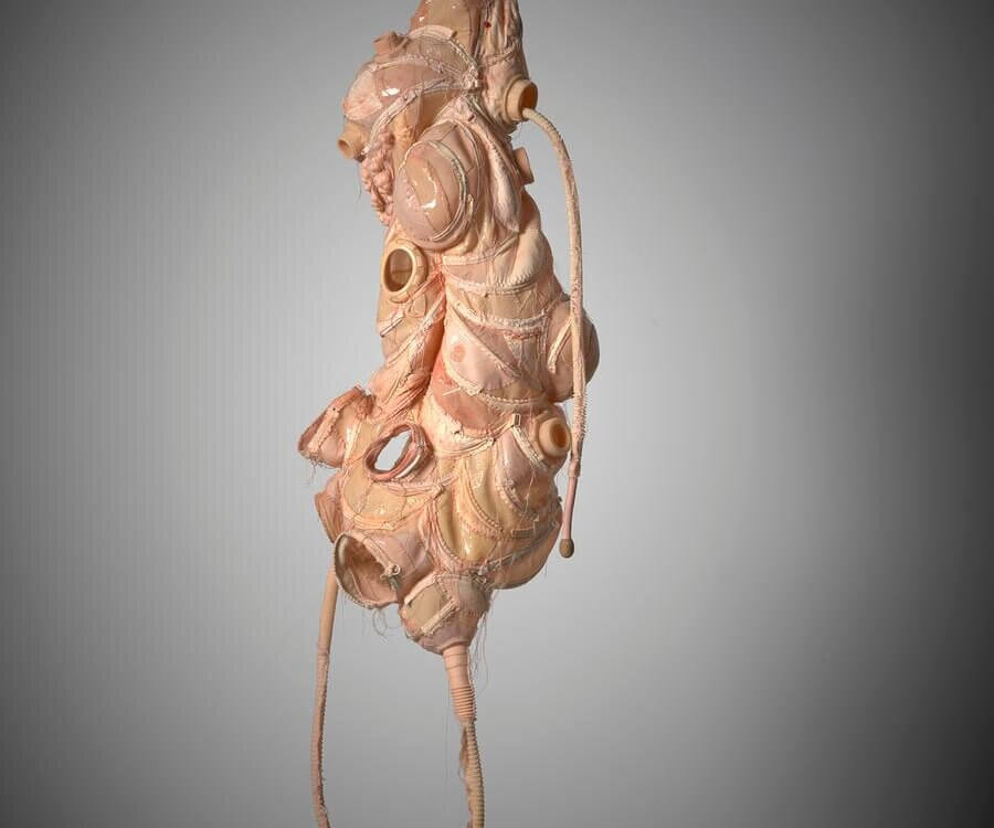 Wang Yuyu, Patching Practice: Trifoliate Orange , White Rabbit Gallery - The Hooligan exhibition