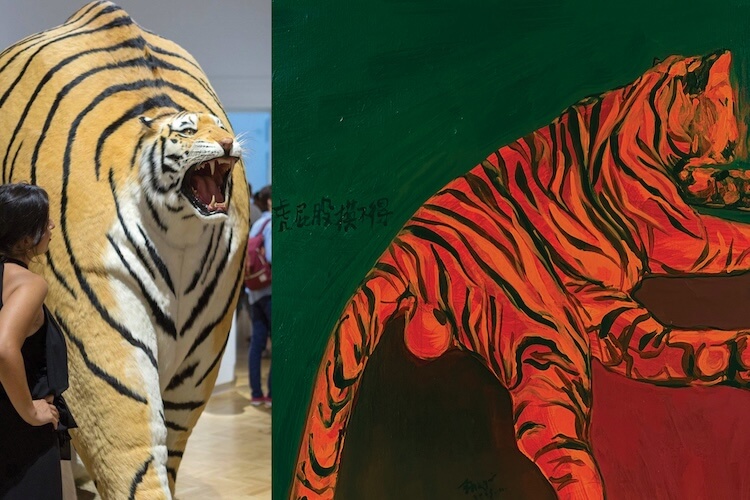Tiger artworks in The Hooligans