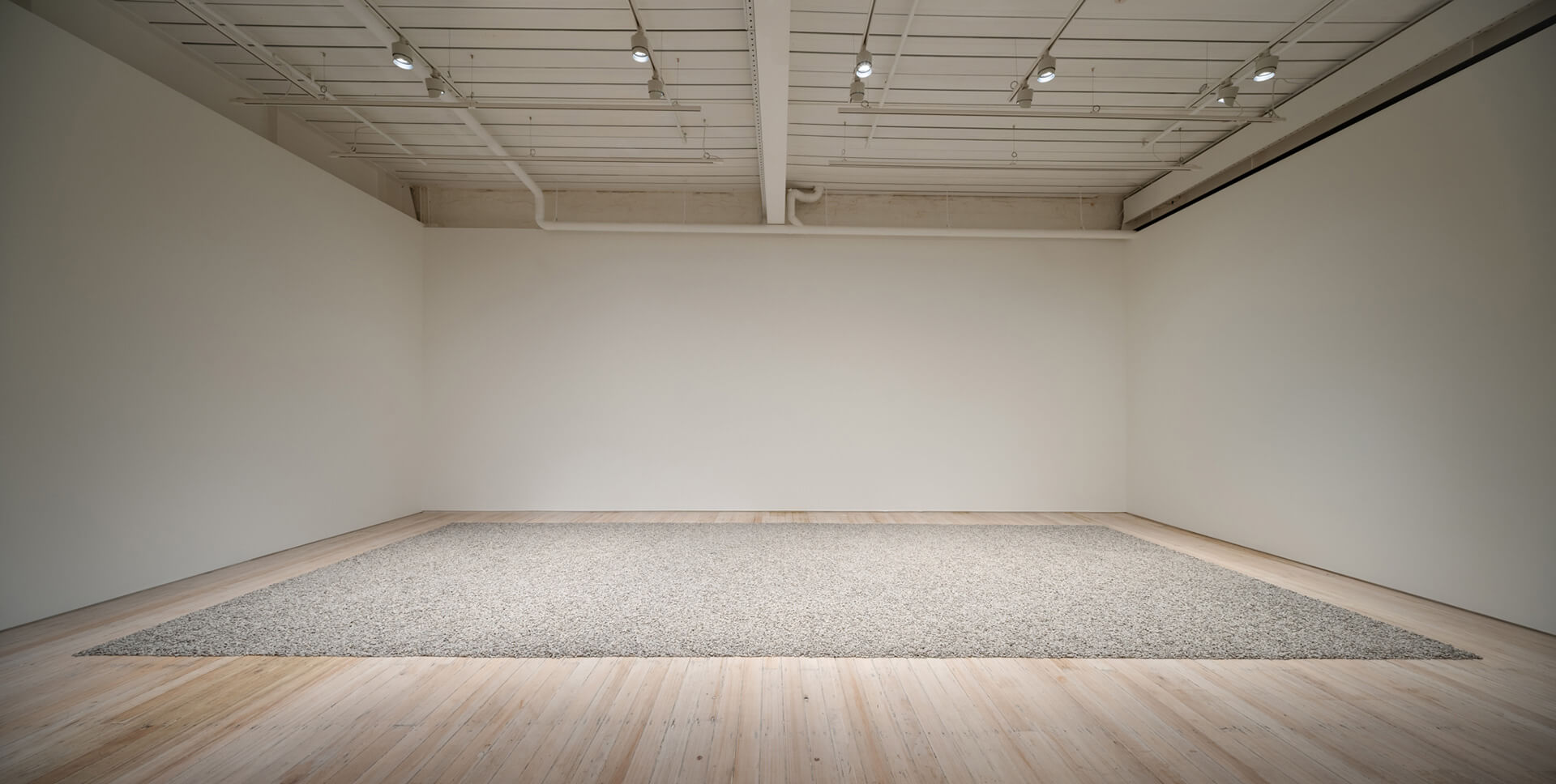 The White Rabbit gallery. The hooligan exhibition. artwork: Sunflower-Seeds by AI WEIWEI