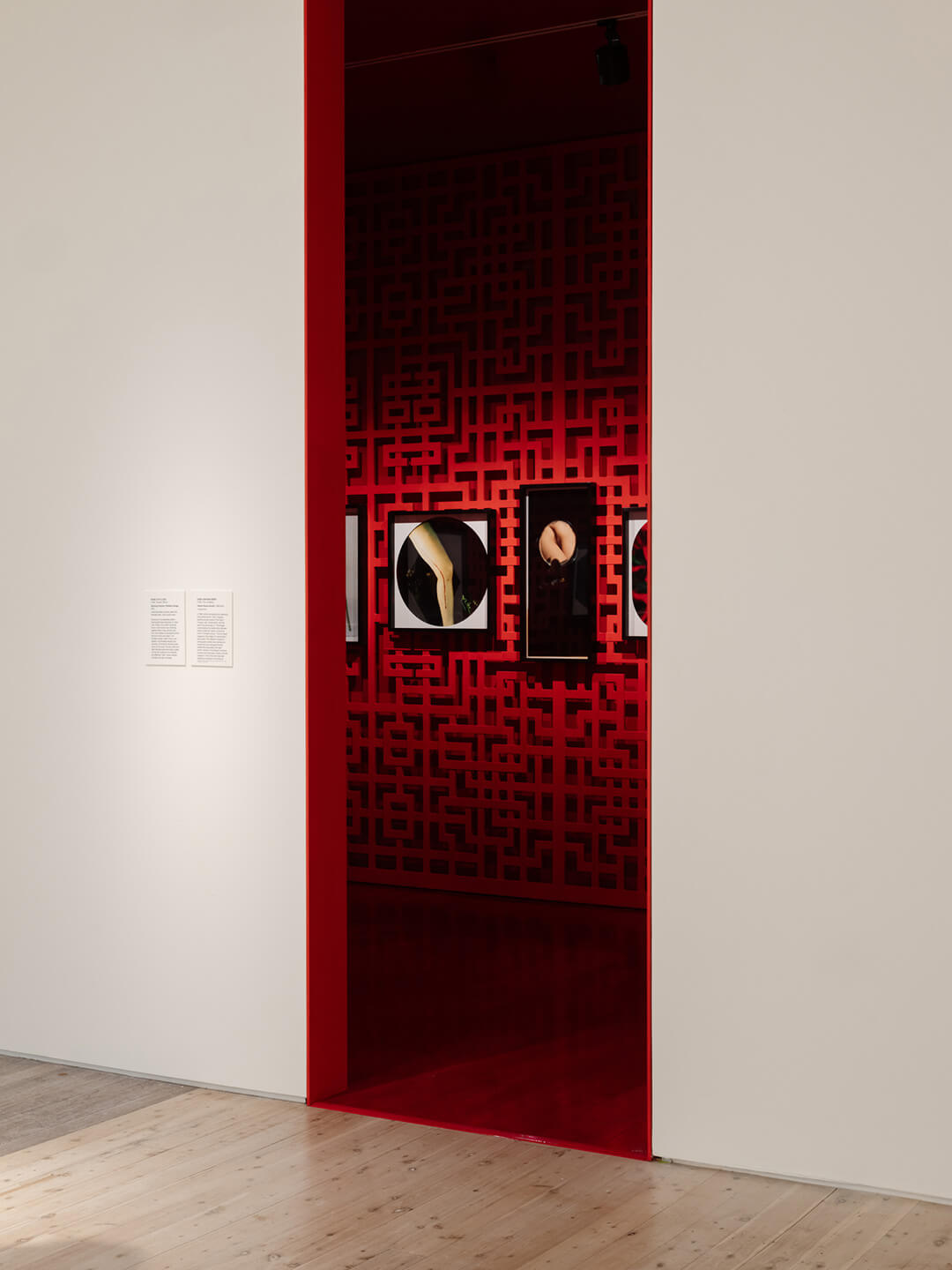 The White Rabbit gallery. The hooligan exhibition. artwork: Twelve Flower Months by CHEN LINGYANG