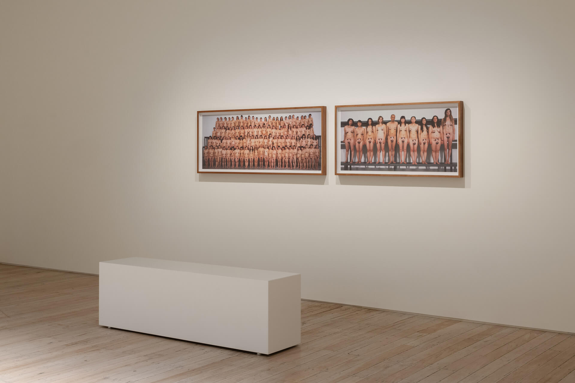 The White Rabbit gallery. The hooligan exhibition. artwork: Swimsuits by HE YUNCHANG