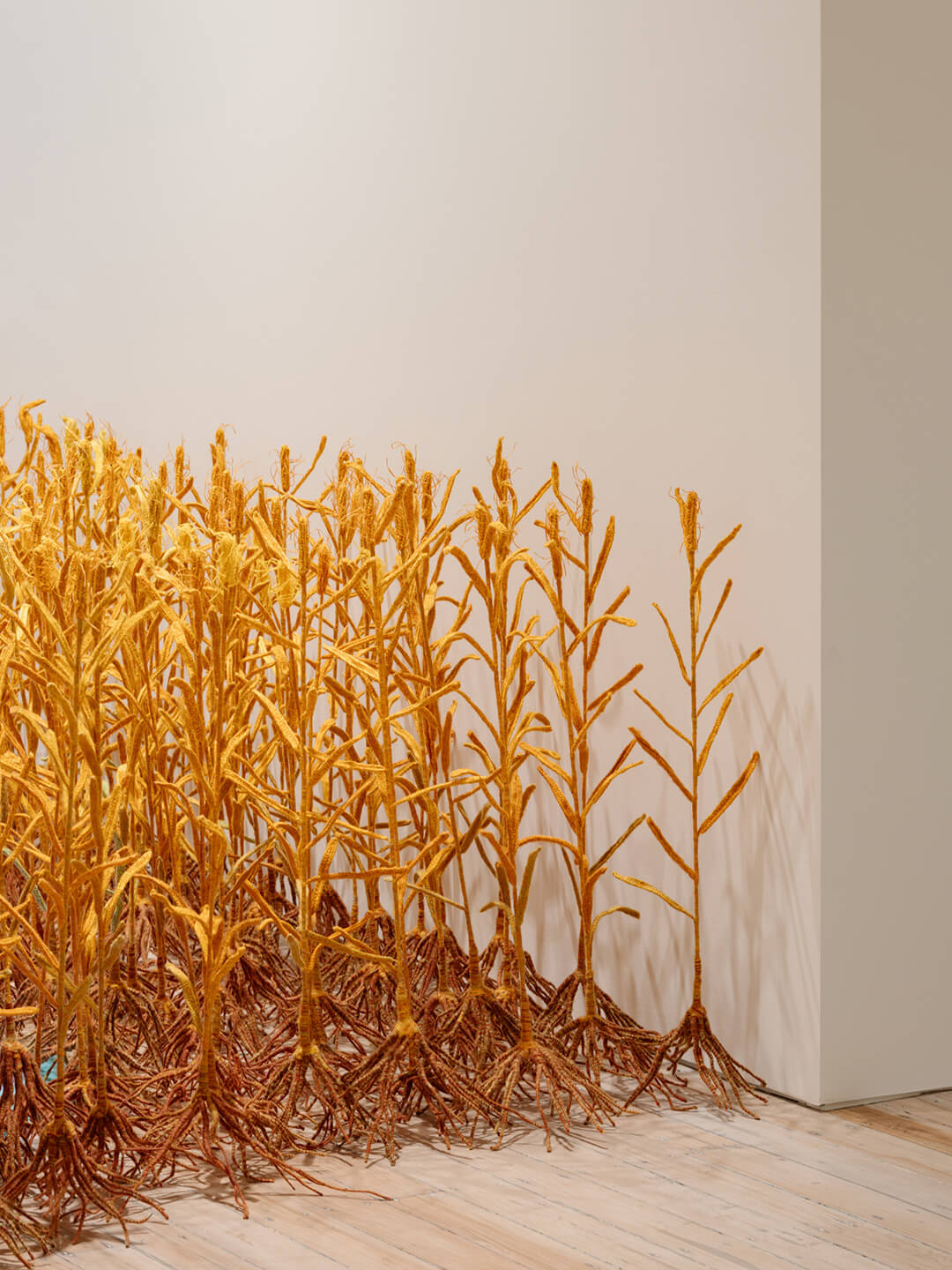 The White Rabbit gallery. The hooligan exhibition. artwork: Wheat, Wheat by HU YINPING