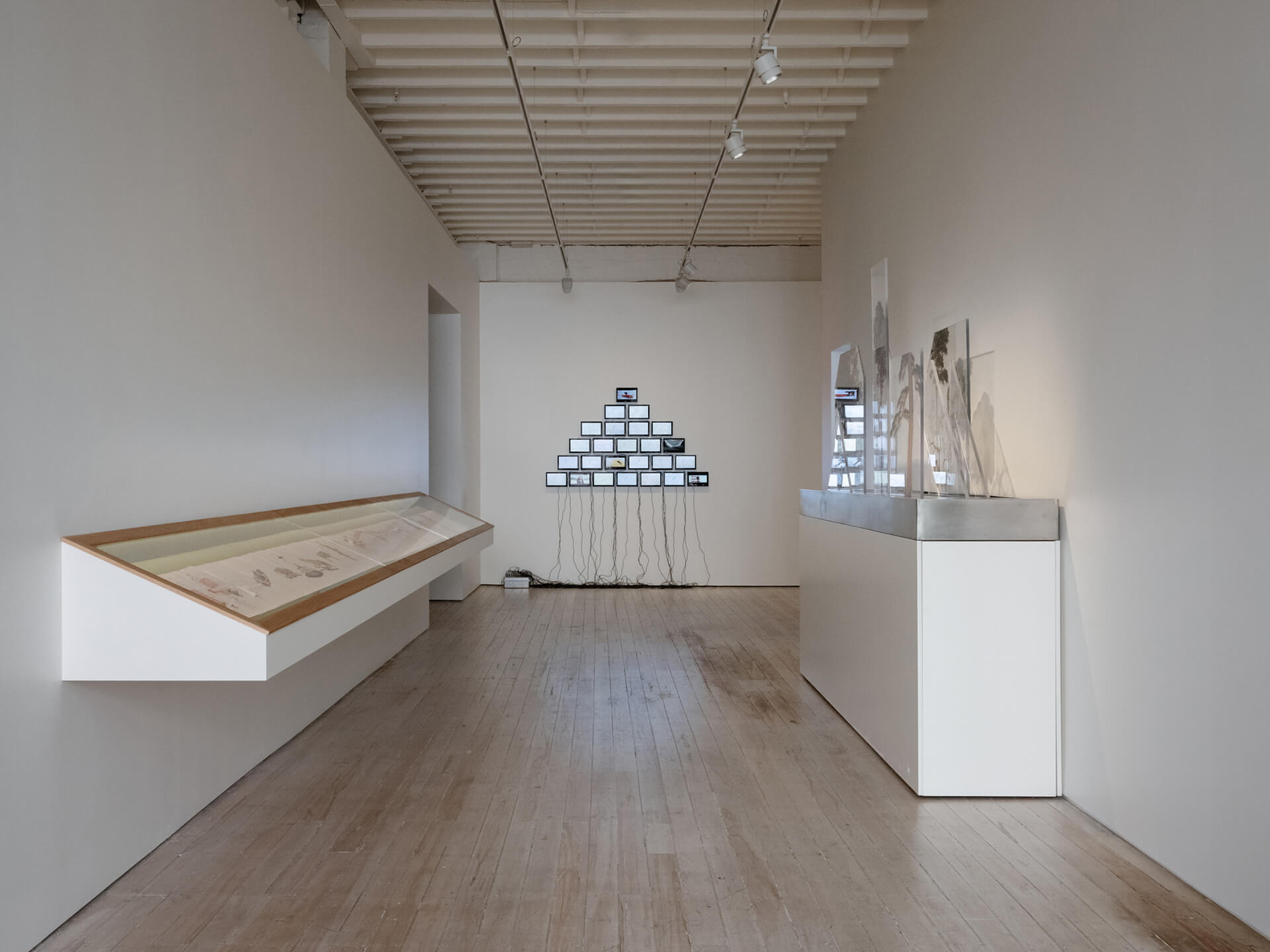 The White Rabbit gallery. The hooligan exhibition Level 1