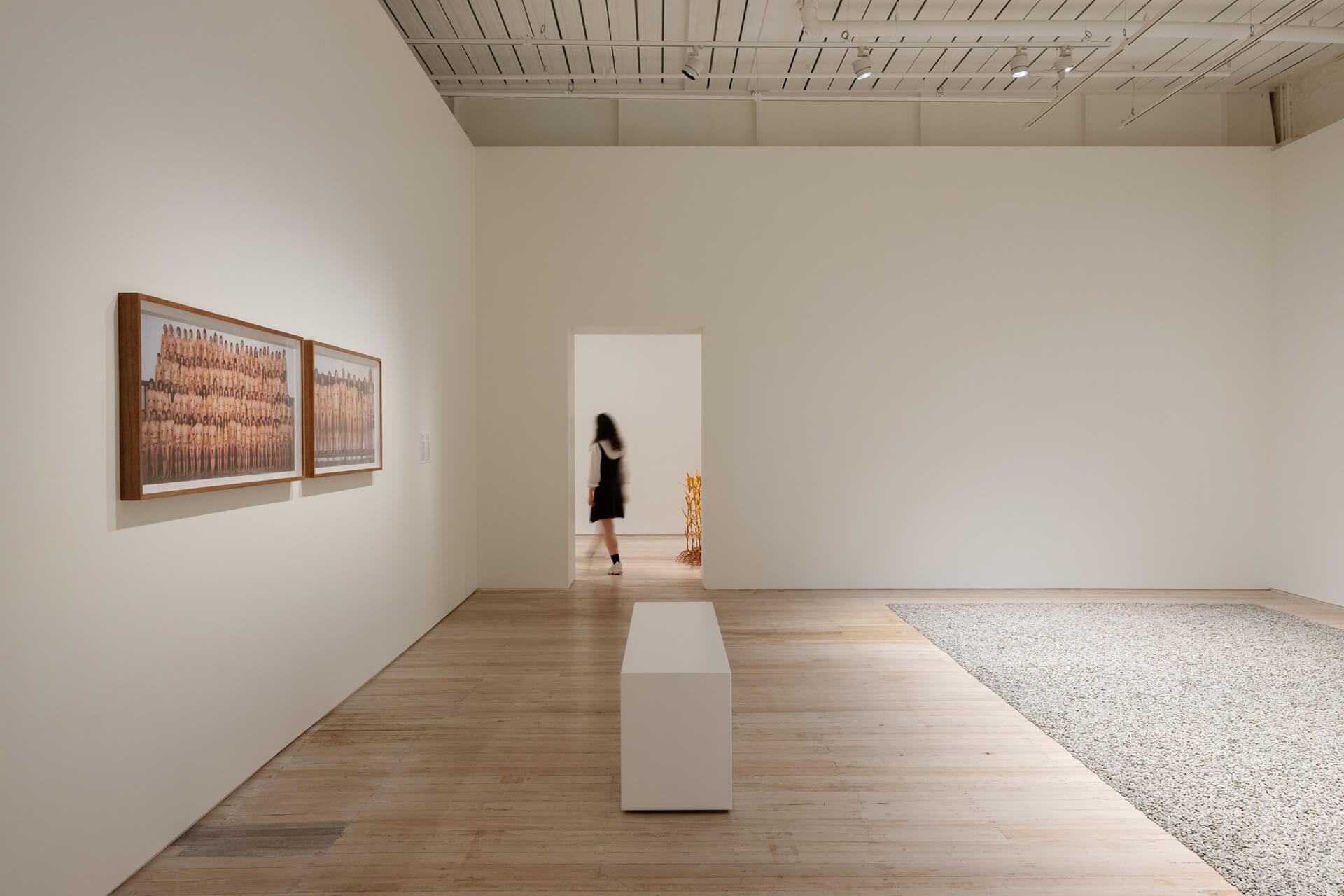 The White Rabbit gallery. The hooligan exhibition. Level 2