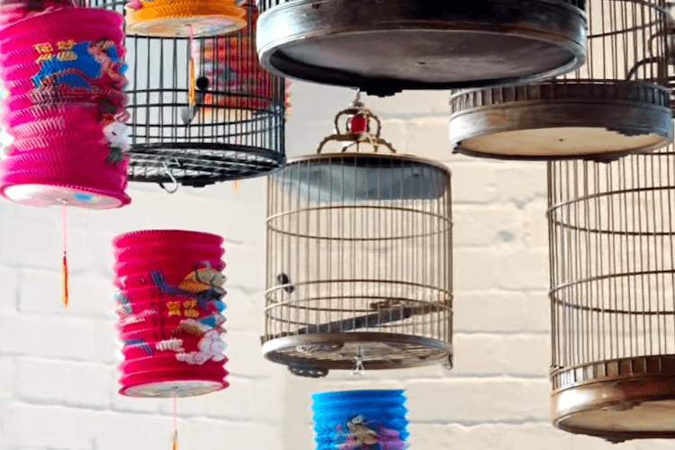 Bird cages with lantern decorations